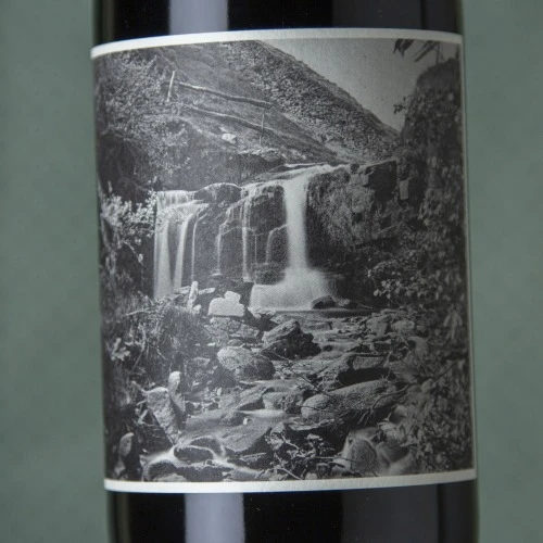 4 Kilos 2019 - Imagen 2