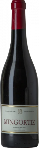 Allende Mingortiz 2016