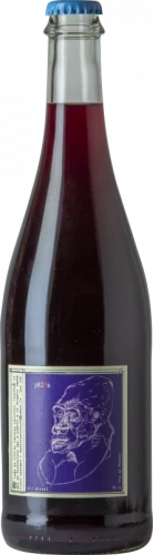 Aurelien Lefort Prima 2020