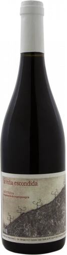 Canopy La Viña Escondida 2017