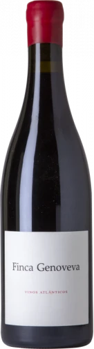 Finca Genoveva Caiño Tinto 2019