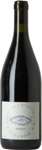 Laboratorio Rupestre Willem 2015