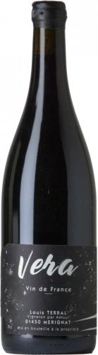 Louis Terral Vera 2020