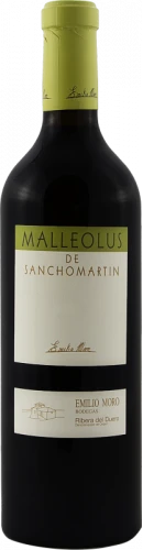 Malleolus De Sanchomartín 2019