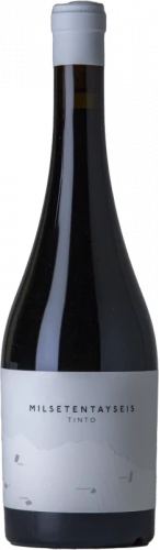 Milsetentayseis 2019