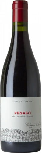 Pegaso Barrancos De Pizarra 2020