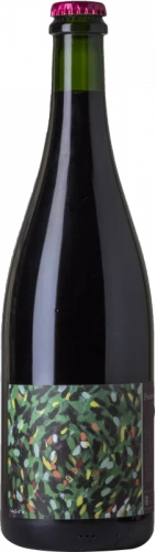 Samuel Boulay Fricheti 2017