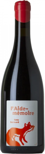 Tony Bornard L'Aide Mémoire 2019