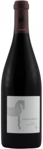 Vallegarcía Syrah 2021