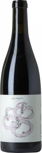 Vinyes Tortuga Sugar Magnolia 2021